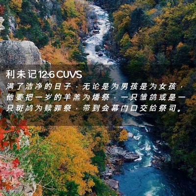 Picture 02 - 利 未 记 12:6 CUVS - 满 了 洁 净 的 日 子 ， 无 论 是 为 - Bible Verse Picture