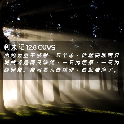 Picture 02 - 利 未 记 12:8 CUVS - 他 的 力 量 不 够 献 一 只 羊 羔 ， - Bible Verse Picture