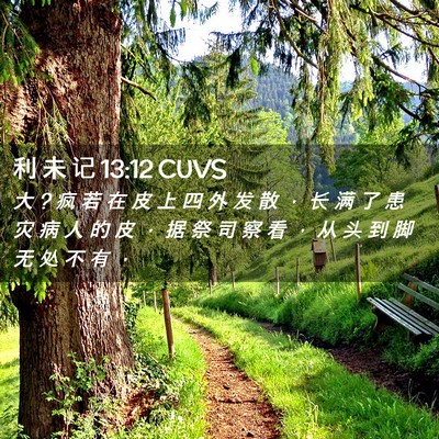 Picture 02 - 利 未 记 13:12 CUVS - 大 ? 疯 若 在 皮 上 四 外 发 散 ， 长 - Bible Verse Picture