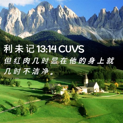 Picture 02 - 利 未 记 13:14 CUVS - 但 红 肉 几 时 显 在 他 的 身 上 就 - Bible Verse Picture