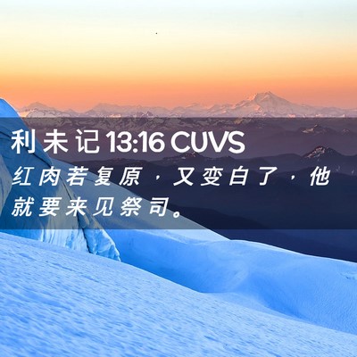 Picture 02 - 利 未 记 13:16 CUVS - 红 肉 若 复 原 ， 又 变 白 了 ， 他 - Bible Verse Picture