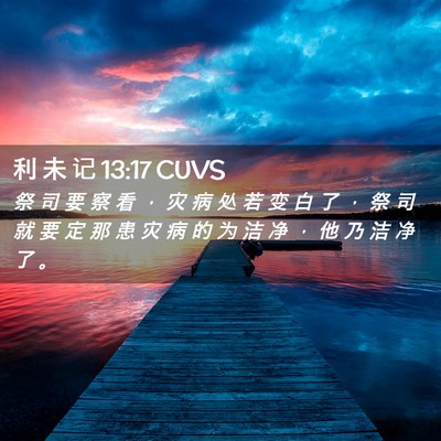 Picture 02 - 利 未 记 13:17 CUVS - 祭 司 要 察 看 ， 灾 病 处 若 变 白 - Bible Verse Picture