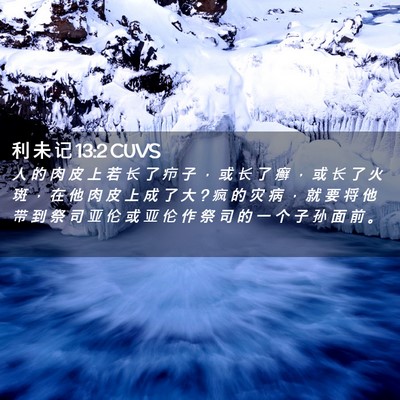 Picture 02 - 利 未 记 13:2 CUVS - 人 的 肉 皮 上 若 长 了 疖 子 ， 或 - Bible Verse Picture