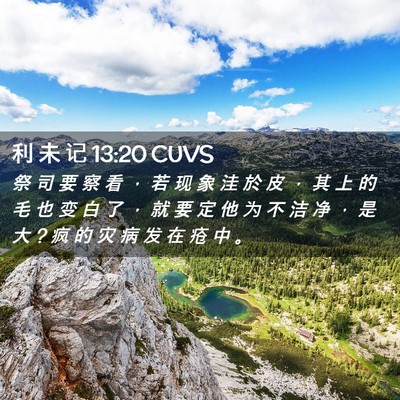 Picture 02 - 利 未 记 13:20 CUVS - 祭 司 要 察 看 ， 若 现 象 洼 於 皮 - Bible Verse Picture