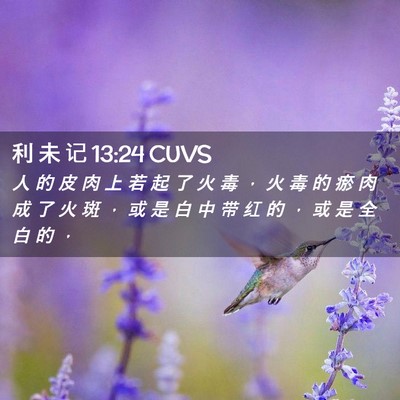 Picture 02 - 利 未 记 13:24 CUVS - 人 的 皮 肉 上 若 起 了 火 毒 ， 火 - Bible Verse Picture