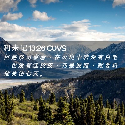 Picture 02 - 利 未 记 13:26 CUVS - 但 是 祭 司 察 看 ， 在 火 斑 中 若 - Bible Verse Picture