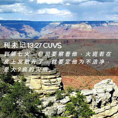 Picture 02 - 利 未 记 13:27 CUVS - 到 第 七 天 ， 祭 司 要 察 看 他 ， - Bible Verse Picture