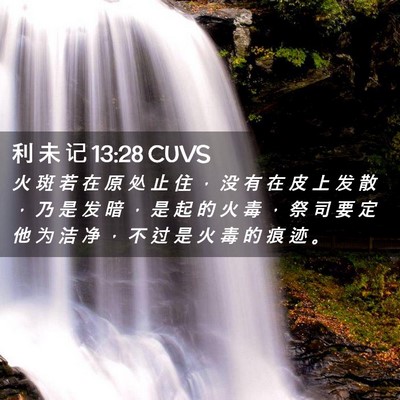 Picture 02 - 利 未 记 13:28 CUVS - 火 斑 若 在 原 处 止 住 ， 没 有 在 - Bible Verse Picture