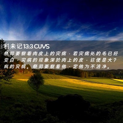 Picture 02 - 利 未 记 13:3 CUVS - 祭 司 要 察 看 肉 皮 上 的 灾 病 ， - Bible Verse Picture