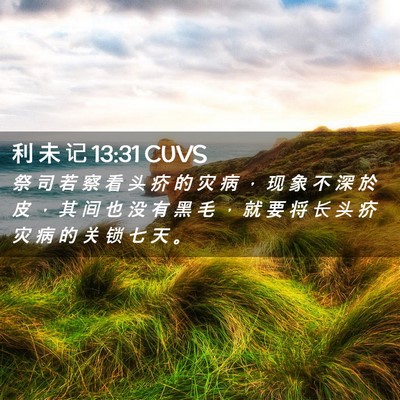 Picture 02 - 利 未 记 13:31 CUVS - 祭 司 若 察 看 头 疥 的 灾 病 ， 现 - Bible Verse Picture