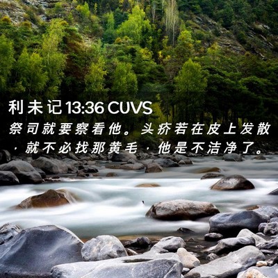 Picture 02 - 利 未 记 13:36 CUVS - 祭 司 就 要 察 看 他 。 头 疥 若 在 - Bible Verse Picture
