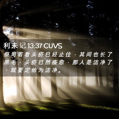 Picture 02 - 利 未 记 13:37 CUVS - 祭 司 若 看 头 疥 已 经 止 住 ， 其 - Bible Verse Picture