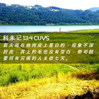 Picture 02 - 利 未 记 13:4 CUVS - 若 火 斑 在 他 肉 皮 上 是 白 的 ， - Bible Verse Picture