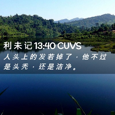 Picture 02 - 利 未 记 13:40 CUVS - 人 头 上 的 发 若 掉 了 ， 他 不 过 - Bible Verse Picture