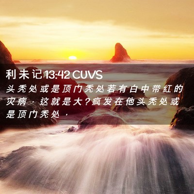 Picture 02 - 利 未 记 13:42 CUVS - 头 秃 处 或 是 顶 门 秃 处 若 有 白 - Bible Verse Picture