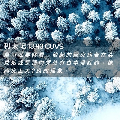 Picture 02 - 利 未 记 13:43 CUVS - 祭 司 就 要 察 看 ， 他 起 的 那 灾 - Bible Verse Picture
