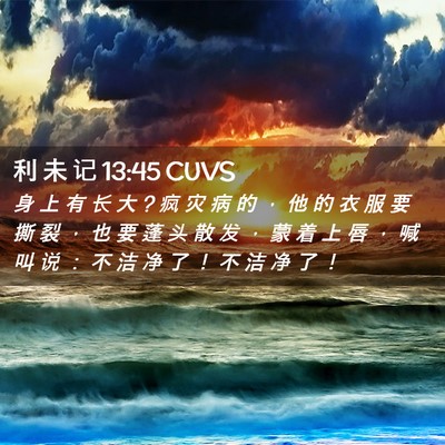 Picture 02 - 利 未 记 13:45 CUVS - 身 上 有 长 大 ? 疯 灾 病 的 ， 他 的 - Bible Verse Picture