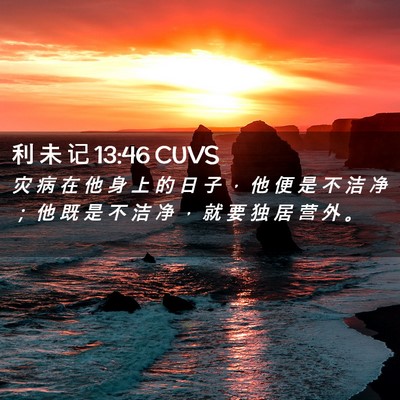 Picture 02 - 利 未 记 13:46 CUVS - 灾 病 在 他 身 上 的 日 子 ， 他 便 - Bible Verse Picture