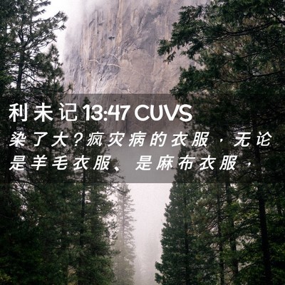 Picture 02 - 利 未 记 13:47 CUVS - 染 了 大 ? 疯 灾 病 的 衣 服 ， 无 论 - Bible Verse Picture