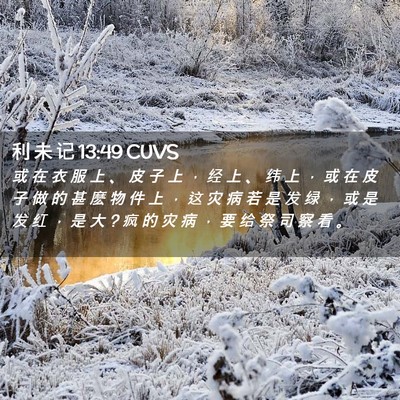 Picture 02 - 利 未 记 13:49 CUVS - 或 在 衣 服 上 、 皮 子 上 ， 经 上 - Bible Verse Picture