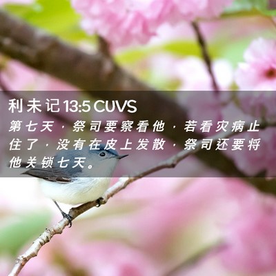 Picture 02 - 利 未 记 13:5 CUVS - 第 七 天 ， 祭 司 要 察 看 他 ， 若 - Bible Verse Picture