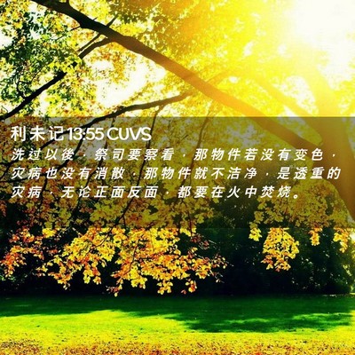Picture 02 - 利 未 记 13:55 CUVS - 洗 过 以 後 ， 祭 司 要 察 看 ， 那 - Bible Verse Picture