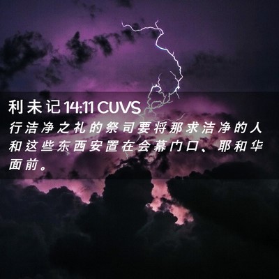 Picture 02 - 利 未 记 14:11 CUVS - 行 洁 净 之 礼 的 祭 司 要 将 那 求 - Bible Verse Picture