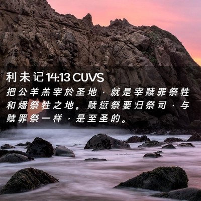 Picture 02 - 利 未 记 14:13 CUVS - 把 公 羊 羔 宰 於 圣 地 ， 就 是 宰 - Bible Verse Picture