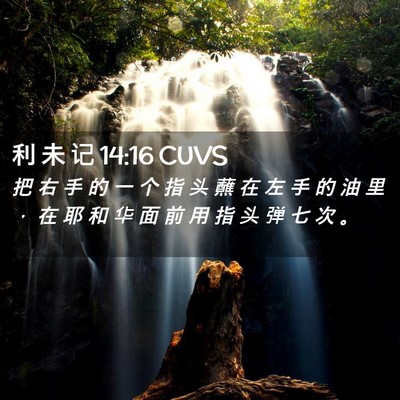 Picture 02 - 利 未 记 14:16 CUVS - 把 右 手 的 一 个 指 头 蘸 在 左 手 - Bible Verse Picture