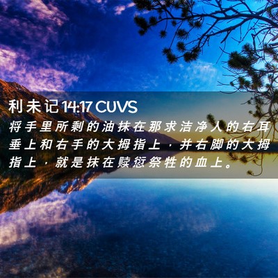 Picture 02 - 利 未 记 14:17 CUVS - 将 手 里 所 剩 的 油 抹 在 那 求 洁 - Bible Verse Picture