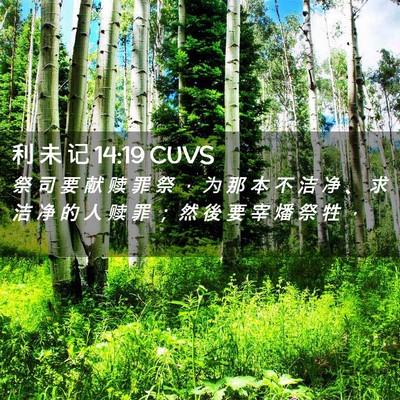 Picture 02 - 利 未 记 14:19 CUVS - 祭 司 要 献 赎 罪 祭 ， 为 那 本 不 - Bible Verse Picture