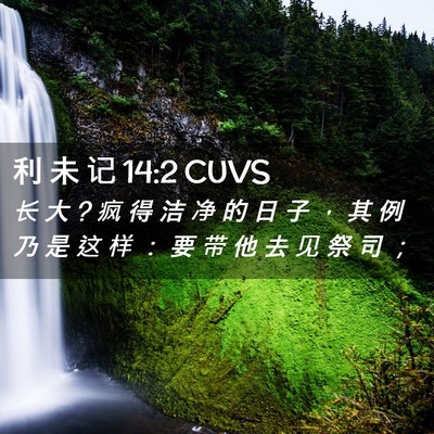 Picture 02 - 利 未 记 14:2 CUVS - 长 大 ? 疯 得 洁 净 的 日 子 ， 其 例 - Bible Verse Picture