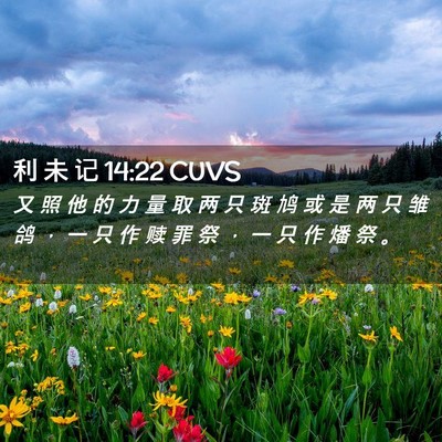 Picture 02 - 利 未 记 14:22 CUVS - 又 照 他 的 力 量 取 两 只 斑 鸠 或 - Bible Verse Picture