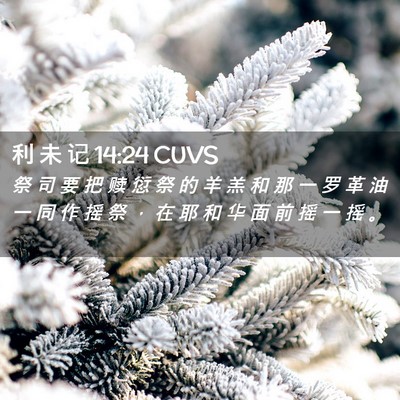 Picture 02 - 利 未 记 14:24 CUVS - 祭 司 要 把 赎 愆 祭 的 羊 羔 和 那 - Bible Verse Picture