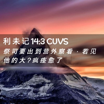 Picture 02 - 利 未 记 14:3 CUVS - 祭 司 要 出 到 营 外 察 看 ， 若 见 - Bible Verse Picture