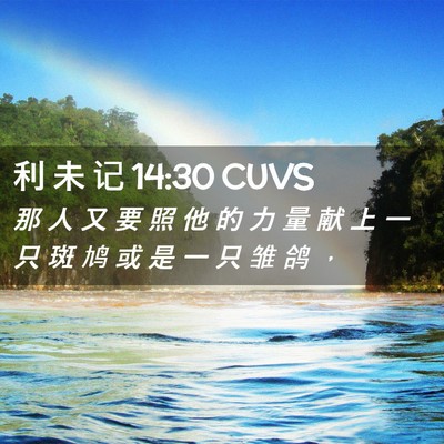 Picture 02 - 利 未 记 14:30 CUVS - 那 人 又 要 照 他 的 力 量 献 上 一 - Bible Verse Picture