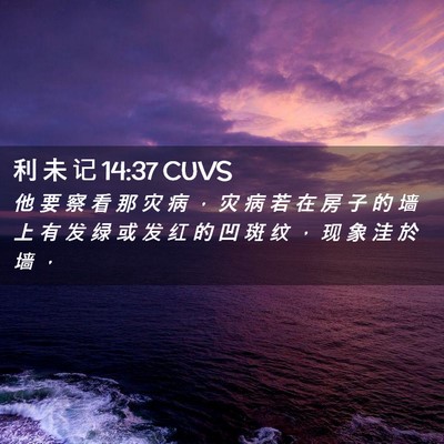 Picture 02 - 利 未 记 14:37 CUVS - 他 要 察 看 那 灾 病 ， 灾 病 若 在 - Bible Verse Picture