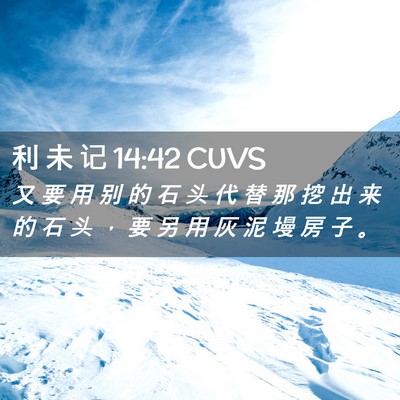 Picture 02 - 利 未 记 14:42 CUVS - 又 要 用 别 的 石 头 代 替 那 挖 出 - Bible Verse Picture