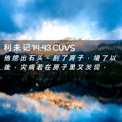 Picture 02 - 利 未 记 14:43 CUVS - 他 挖 出 石 头 ， 刮 了 房 子 ， 墁 - Bible Verse Picture