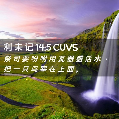Picture 02 - 利 未 记 14:5 CUVS - 祭 司 要 吩 咐 用 瓦 器 盛 活 水 ， - Bible Verse Picture