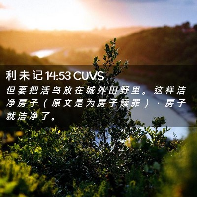 Picture 02 - 利 未 记 14:53 CUVS - 但 要 把 活 鸟 放 在 城 外 田 野 里 - Bible Verse Picture