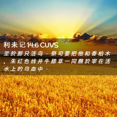 Picture 02 - 利 未 记 14:6 CUVS - 至 於 那 只 活 鸟 ， 祭 司 要 把 他 - Bible Verse Picture