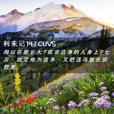 Picture 02 - 利 未 记 14:7 CUVS - 用 以 在 那 长 大 ? 疯 求 洁 净 的 人 - Bible Verse Picture