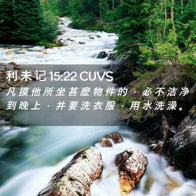 Picture 02 - 利 未 记 15:22 CUVS - 凡 摸 他 所 坐 甚 麽 物 件 的 ， 必 - Bible Verse Picture