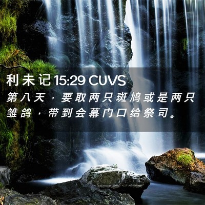 Picture 02 - 利 未 记 15:29 CUVS - 第 八 天 ， 要 取 两 只 斑 鸠 或 是 - Bible Verse Picture