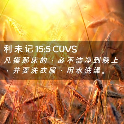 Picture 02 - 利 未 记 15:5 CUVS - 凡 摸 那 床 的 ， 必 不 洁 净 到 晚 - Bible Verse Picture