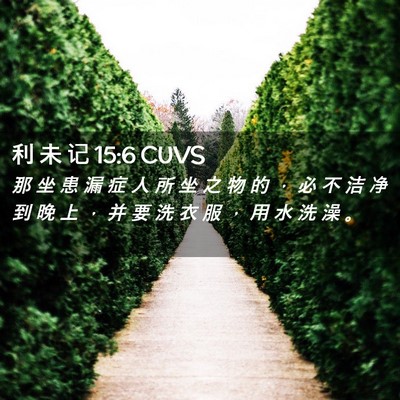 Picture 02 - 利 未 记 15:6 CUVS - 那 坐 患 漏 症 人 所 坐 之 物 的 ， - Bible Verse Picture