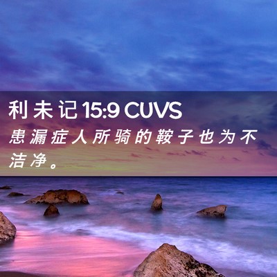Picture 02 - 利 未 记 15:9 CUVS - 患 漏 症 人 所 骑 的 鞍 子 也 为 不 - Bible Verse Picture