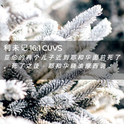 Picture 02 - 利 未 记 16:1 CUVS - 亚 伦 的 两 个 儿 子 近 到 耶 和 华 - Bible Verse Picture