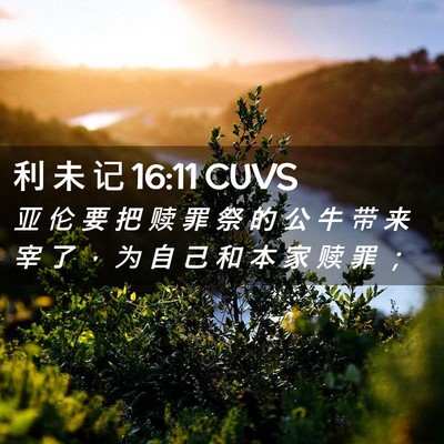 Picture 02 - 利 未 记 16:11 CUVS - 亚 伦 要 把 赎 罪 祭 的 公 牛 带 来 - Bible Verse Picture
